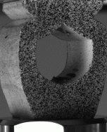 Deformed state image of a compression test