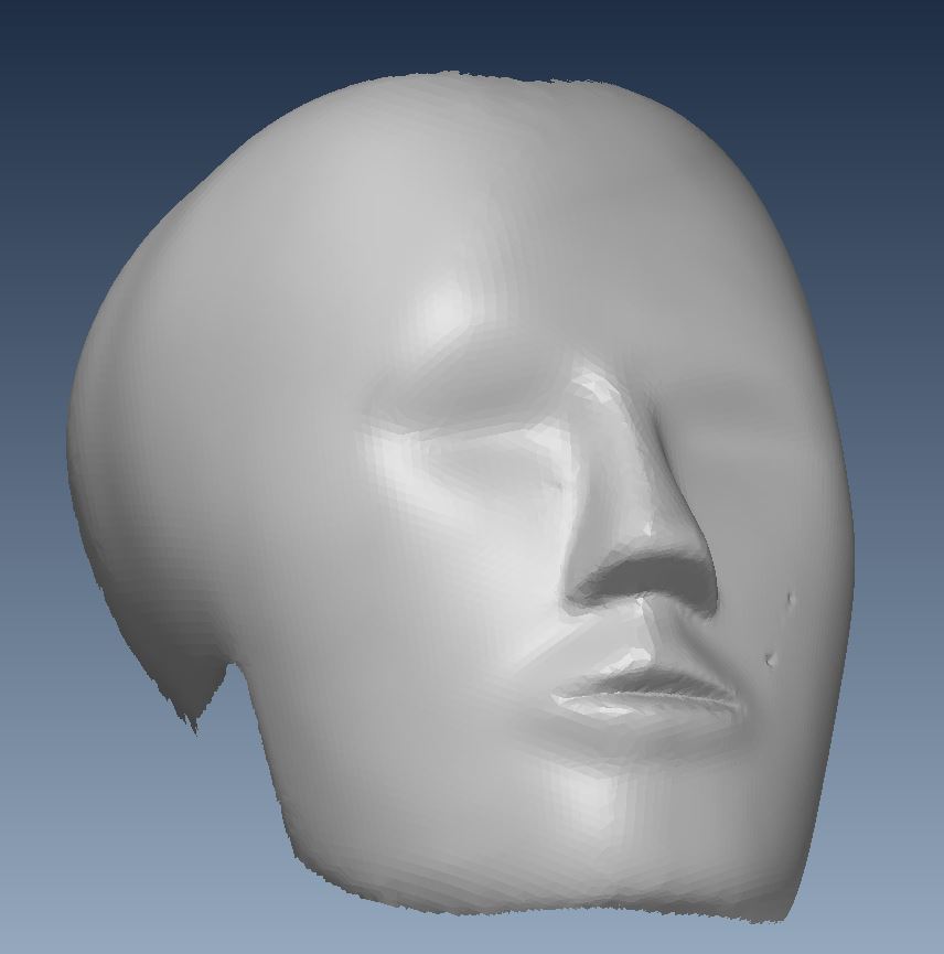 Polygonized point cloud of the head of a crash test dummy